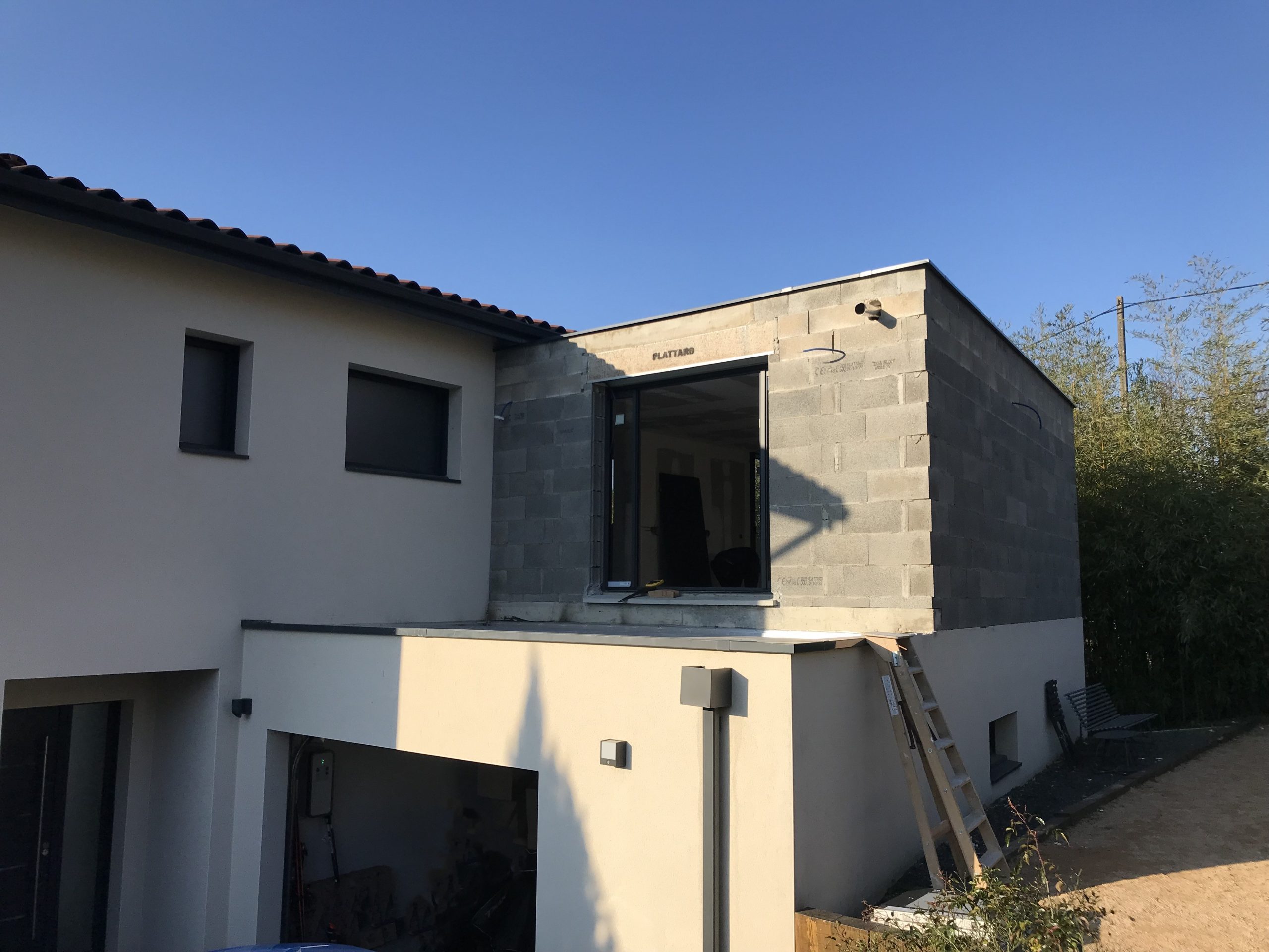 Nunc Volutpat Venenatis